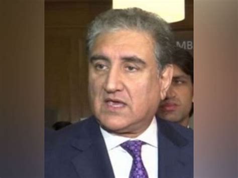 Pakistan Tehreek E Insaf Leader Shah Mahmood Qureshi Says Pdm Alliance