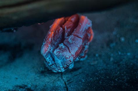 powerful benefits  charcoal toothpaste   healthier smile