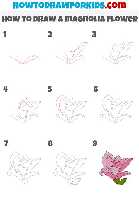 How to Draw a Magnolia Flower - Easy Drawing Tutorial For Kids