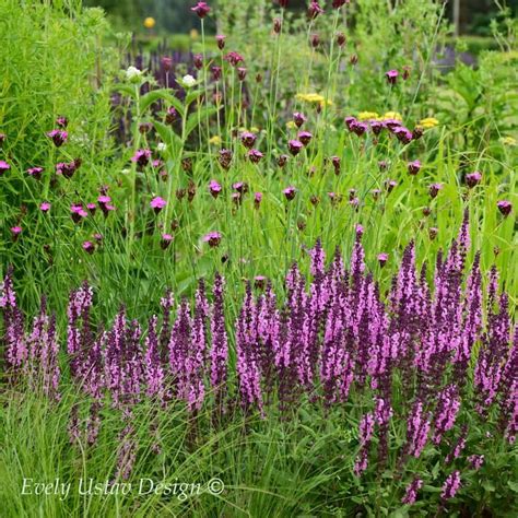 234 Vind Ik Leuks 0 Opmerkingen Evely Ustav Garden Design Ustav