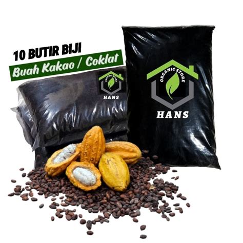 Jual Benih Biji Buah Kakao Coklat Benih Kakao Coklat 10 Butir