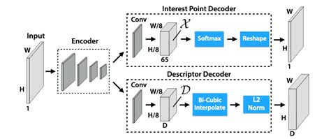 feature extraction        important