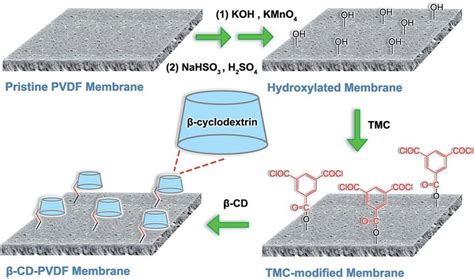 Schematic Diagram Illustrating The Preparation Of B Cdpvdf Membrane Download Scientific Diagram