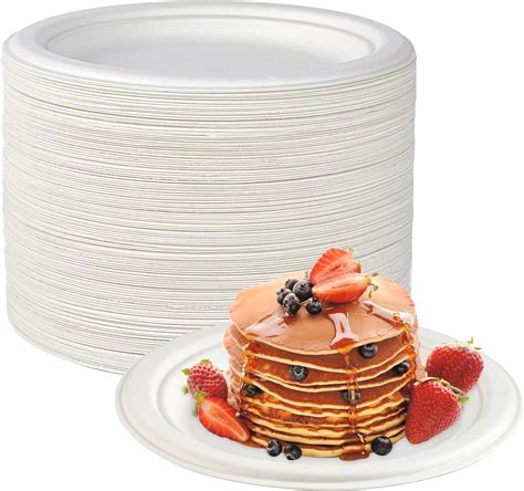 Amazon Ecolipak Inch Compostable Dessert Paper Plates