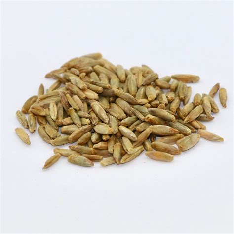 Soft Red Winter Wheat Grain Lb Bag Mbs Seed