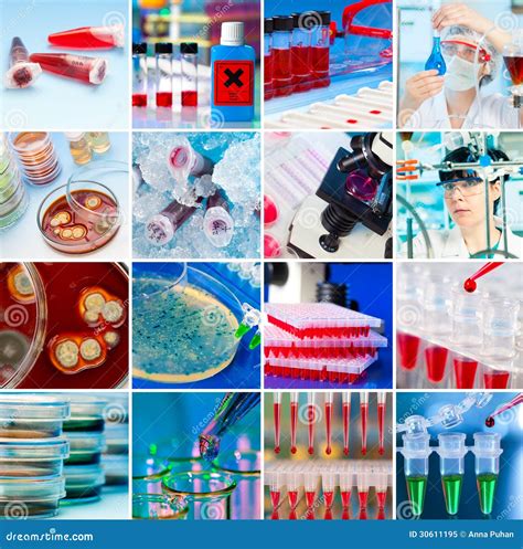 Laboratory Collage Stock Image Image Of Microscope Agar 30611195