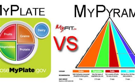 Difference Between Myplate And Food Pyramid Differences Between Food ...