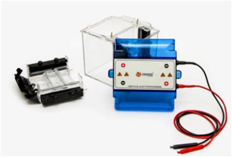 ORANGE G Run Vertical Mini Dual Gel Electrophoresis System For