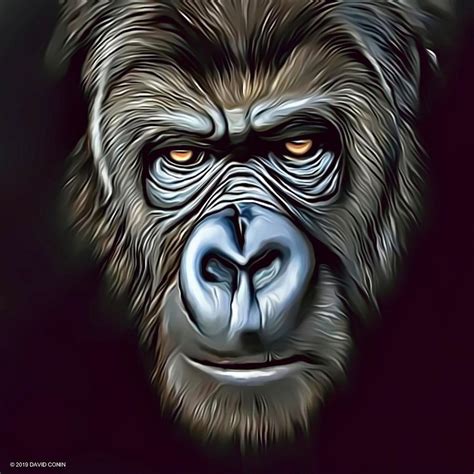 Gorilla Digital Art By David Conin Fine Art America