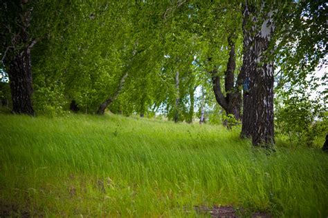 Рыбалка на подкове. — Mitsubishi Montero Sport (1G), 3 л, 2002 года ...