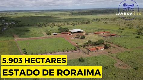 Fazendas A Venda Em Roraima - FAZENDA A VENDA EM RORAIMA DE 5.903 HECTARES - YouTube