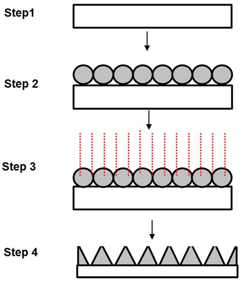 Polymers Free Full Text Nanosphere Lithography Of Chitin And