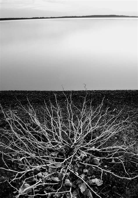 Branching Out Photograph By Brian Duram Fine Art America