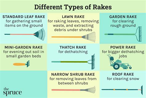 14 Different Types of Rakes and Uses for Each