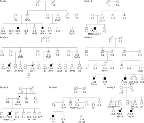 Fragile X Syndrome Pedigree