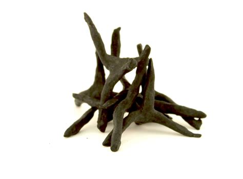 Encyclopedia Of Greater Philadelphia Artifact Caltrops