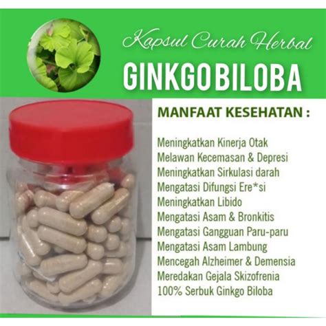 Jual Kapsul Curah Herbal Ginkgo Biloba Kapsul Kemasan Botol