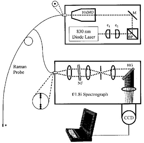 Schematic Of The Raman Spectroscopy System Used For Experimental Download Scientific Diagram