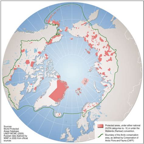 The Artic Tundra: The Arctic Tundra