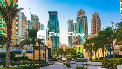 The Best Time To Visit Dubai Timing Your Dream Triptivy