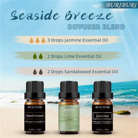 Seaside Breeze Diffuser Blend Jasmine Lime Sandalwood Essential Oils