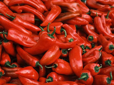 La historia detrás del ají picante: ¿Por qué es tan popular?
