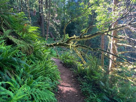 The 17 Best Hikes on the Oregon Coast: Complete Oregon Coast Hiking Guide