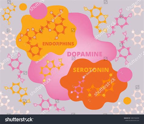 Background Structures Neurotransmitters Serotonin Dopamine Endorphins