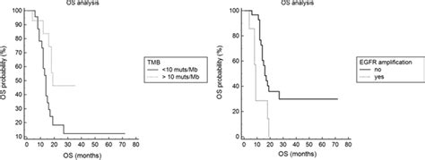 Impact Of Egfr Amplification And Hypermutation On Clinical Outcome The