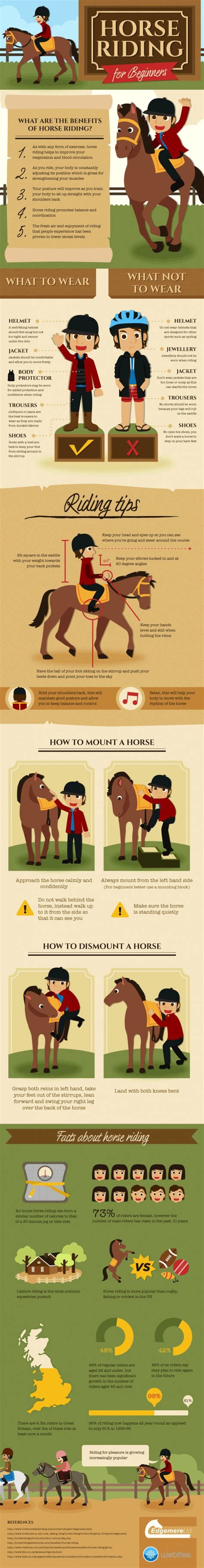 Horse riding tips for beginners | Sunny Park Stables