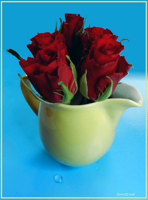 la goutte sunofnet le blog