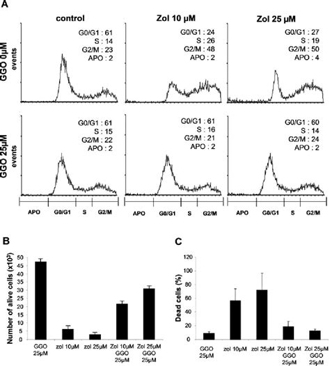 Figure From Zoledronic Acid Activates The Dna S Phase Checkpoint And