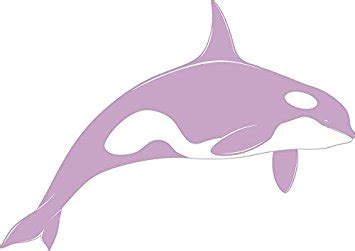 Killer Whale Silhouette at GetDrawings | Free download