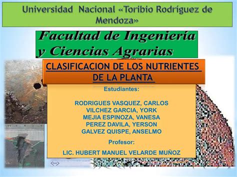 Clasificacion De Los Nutrientes En Plantas Pdf