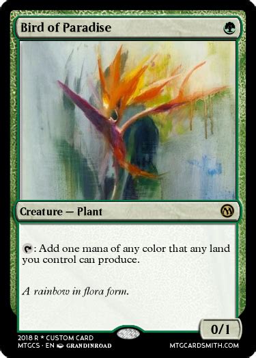 Bird Of Paradise Rcustommagic