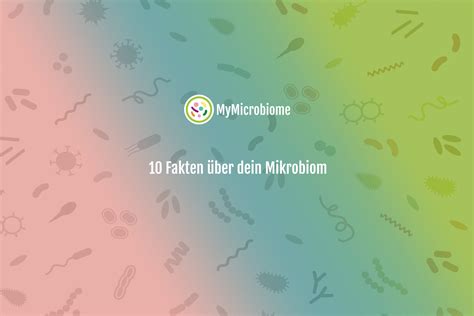 10 Fakten über dein Mikrobiom MyMicrobiome