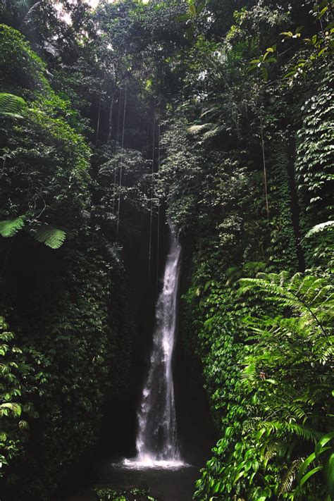 Complete Guide To Leke Leke Waterfall Bali