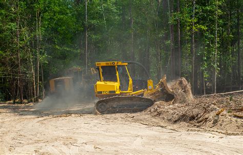 Forestry Dozer Between The Branches Tigercat Tci