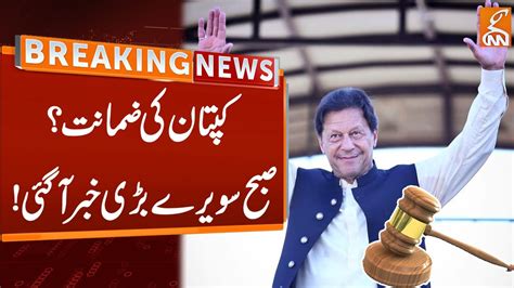 Imran Khan Bail Big News From Court For Chairman PTI Breaking News