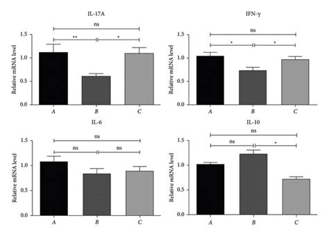 Relative Mrna Expression Levels Of Il 17a Ifn γ Il 6 And Il 10 In Download Scientific