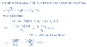 Michaelis Menten Equation Derivation Graphical Representation