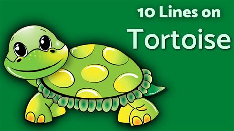 Tortoise Lines On Tortoise Teachmeyt Youtube