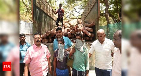 Andhra Pradesh Task Force Seizes Red Sanders Logs Worth Rs 2 Crore