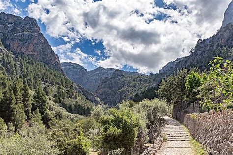 Voyage Majorque Randonn E Circuit Organis Et Trek