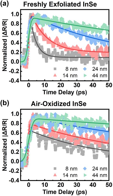 Ultrafast Carrier Dynamics And Layer Dependent Carrier Recombination