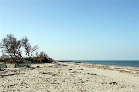 Spiaggia Di Boccassette Po Delta Rovigo Italy Zainoo Zainoo