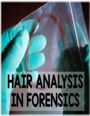 Understanding Hair as Class and Individual Evidence in Forensic | Course Hero