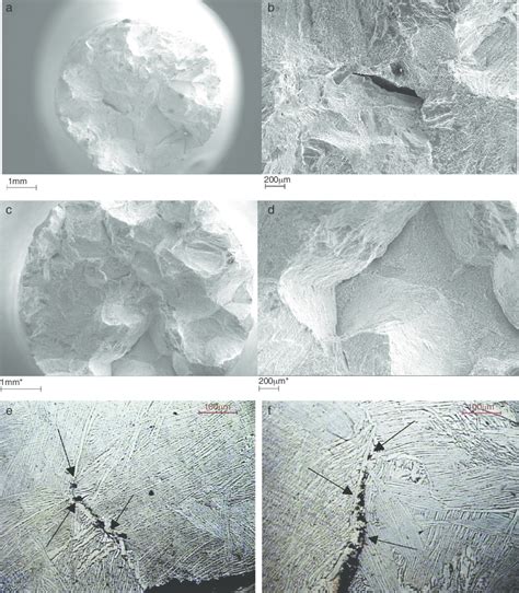 Fracture Surface Morphologies Sem Image Of Transversal Section Of