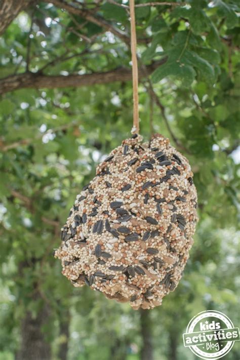 Easy Pine Cone Bird Feeder Craft for Kids - Sunshine Billingual The Blog