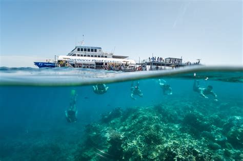 Cairns Great Barrier Reef Tours Non Swimmers Families Pontoon